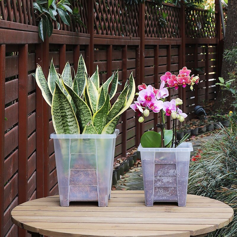 Clear Pot Manufacturer - OEM/ODM Custom Root Control for Cattleya Planting