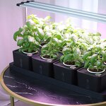 Hydroponic Planter Manufacturer - OEM/ODM Custom Combination Garden Vegetable