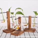 Terrarium Manufacturer - OEM/ODM Custom Wooden Stand Hydroponic Glass Plant