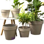 Plastic Flower Pot Manufacturer - OEM/ODM Custom Various Size PP Material