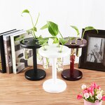 Air Plant Terrarium Manufacturer - OEM/ODM Custom Desktop Glass Planter Bulb