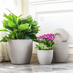 Flower Planter Manufacturer - OEM/ODM Custom Living Room Garden Decoration