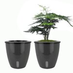 Self Watering Plant Pot Manufacturer - OEM/ODM Custom Round Modern Fish Share