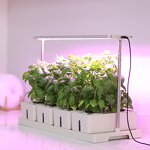 Hydroponic Planter Manufacturer - OEM/ODM Custom Combination Garden Vegetable