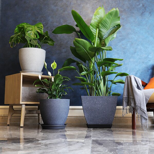 Indoor Planter Manufacturer - OEM/ODM Custom Modern Contemporary Home