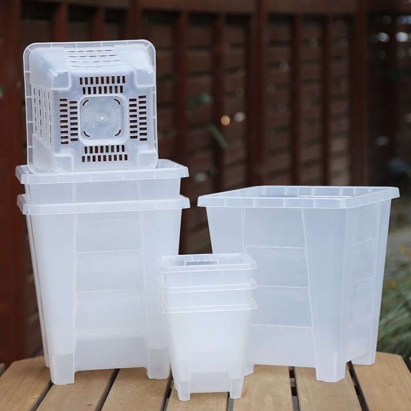 Orchid Pot Manufacturer - OEM/ODM Custom PP Plastic Root Control Clear