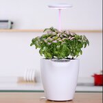 Smart Garden Manufacturer - OEM/ODM Custom Fiberglass Vegetable Planters Box