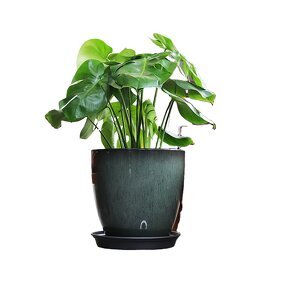 Plastic Garden Pot Manufacturer - OEM/ODM Custom Large Planter Box Flower