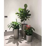Self Watering Plant Pot Manufacturer - OEM/ODM Custom Big Succulent Unique Garden