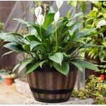 Plastic Flower Pot Manufacturer - OEM/ODM Custom Luxurious Indoor Large Planter