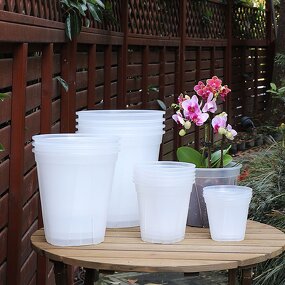 Orchid Pot Manufacturer - OEM/ODM Custom Round Rose Phalaenopsis Ceramic
