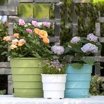 Flower Pot Manufacturer - OEM/ODM Custom Beautiful Planters Home Decoration