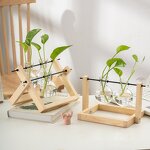 Test Tube Vase Manufacturer - OEM/ODM Custom Nordic Glass Hydroponic Solid