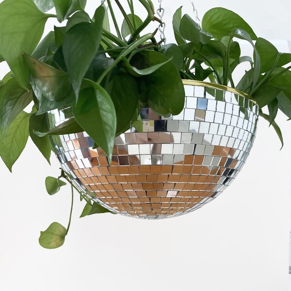 Disco Ball Planter Manufacturer - OEM/ODM Custom with Hook Chain Wooden Stand