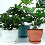 PP Flowerpot Manufacturer - OEM/ODM Custom Hard Thickened for Garden Balcony