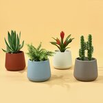 Garden Flower Pot Manufacturer - OEM/ODM Custom Balcony Multi-sizes Cheap