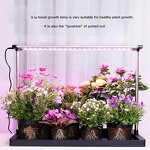 Smart Garden Manufacturer - OEM/ODM Custom Fiberglass Self Watering Planter