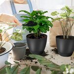 Succulent Flower Pot Manufacturer - OEM/ODM Custom Green Resin Air Permeability