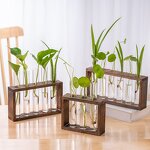 Hydroponic Vase Manufacturer - OEM/ODM Custom Test Tube Glass Small Fresh