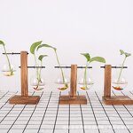 Terrarium Manufacturer - OEM/ODM Custom Wooden Stand Hydroponic Glass Plant