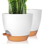 Self Watering Plant Pot Manufacturer - OEM/ODM Custom Indoor Outdoor Plastic