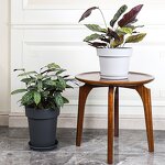 Root Control Pot Manufacturer - OEM/ODM Custom Clematis Breathable Plastic