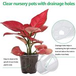Nursery Pot Manufacturer - OEM/ODM Custom Plastic Rooting with Drainage Hole