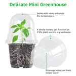Self Watering Pot Manufacturer - OEM/ODM Custom Plastic Home Garden Vegetable