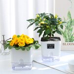 Self Watering Pot Manufacturer - OEM/ODM Custom Plastic Home Garden Vegetable