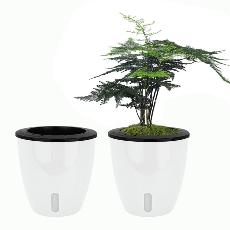 Self Watering Plant Pot Manufacturer - OEM/ODM Custom Round Modern Fish Share