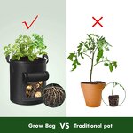 Potato Grow Bag Manufacturer - OEM/ODM Custom Felt Avocado Nursery Box
