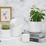 Indoor Planter Manufacturer - OEM/ODM Custom Nordic Marble Mini Decorative