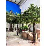 Artificial Ficus Tree Manufacturer - OEM/ODM Custom Large Indoor Outdoor Banyan