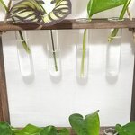 Glass Bulb Vase Manufacturer - OEM/ODM Custom Desktop Plant Terrarium Wooden