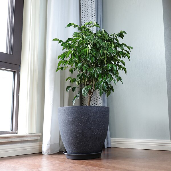 Mini Planter Manufacturer - OEM/ODM Custom Modern Plastic Mini Flower Pot