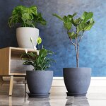 Outdoor Planter Pot Manufacturer - OEM/ODM Custom Farming Business High-quality
