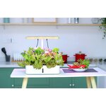 Hydroponics System Manufacturer - OEM/ODM Custom LED Grow Light Smart