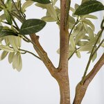 Artificial Olive Tree Manufacturer - OEM/ODM Custom Small Bonsai Office Decor