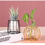 Hydroponic Vase Manufacturer - OEM/ODM Custom Wooden Frame Transparent Glass