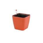 Mini Bonsai Pot Manufacturer - OEM/ODM Custom Small Plastic Self Watering