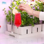 Smart Garden Manufacturer - OEM/ODM Custom Fiberglass Self Watering Planter