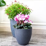 Flower Pot Manufacturer - OEM/ODM Custom Frosted Stone European Resin