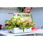 Hydroponics System Manufacturer - OEM/ODM Custom LED Grow Light Smart