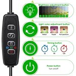 Clone Tray Manufacturer - OEM/ODM Custom Horticulture Germination Grow