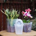 Transparency Nursery Pot Manufacturer - OEM/ODM Custom Garden Planting Cup