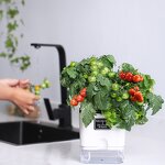 Self Watering Pot Manufacturer - OEM/ODM Custom Plastic Home Garden Vegetable