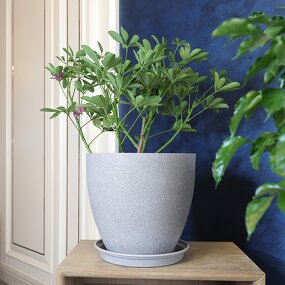 Indoor Planter Pot Manufacturer - OEM/ODM Custom Elegant Indoor Planter