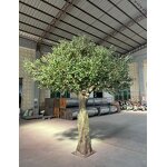 Artificial Olive Tree Manufacturer - OEM/ODM Custom Realistic Fiberglass Plant