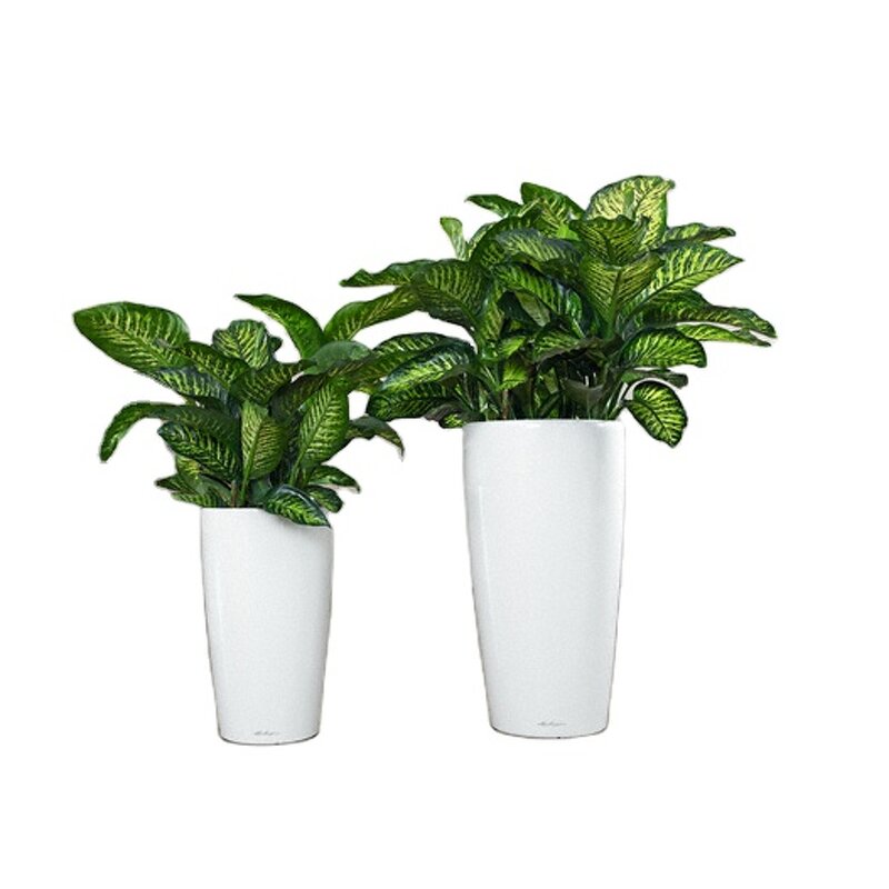 Self Watering Plant Pot Manufacturer - OEM/ODM Custom Big Succulent Unique Garden