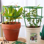 Flower Support Stake Manufacturer - OEM/ODM Custom Steel Single Stem Garden